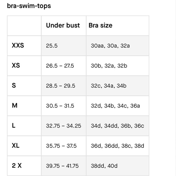 Everlane White Bodysuit Top - Picture 7 of 8